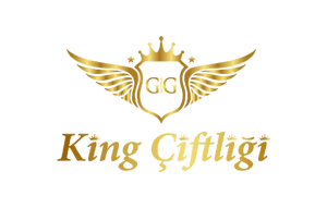 King Çiftliği
