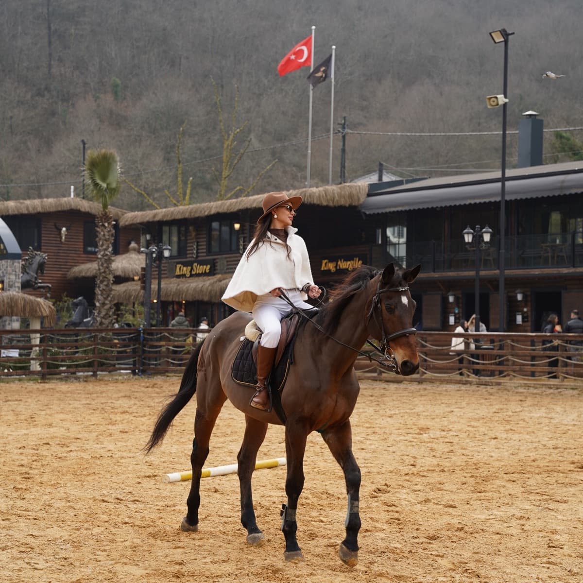 Binicilik Eğitimi