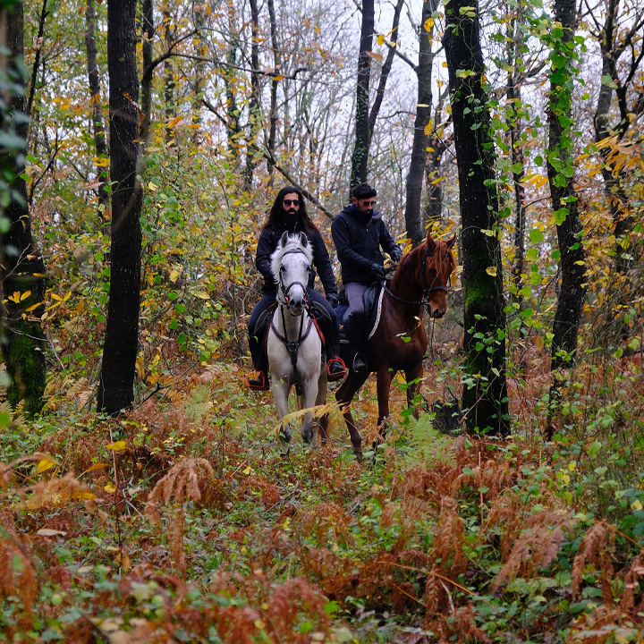 Atlı Doğa Gezintisi